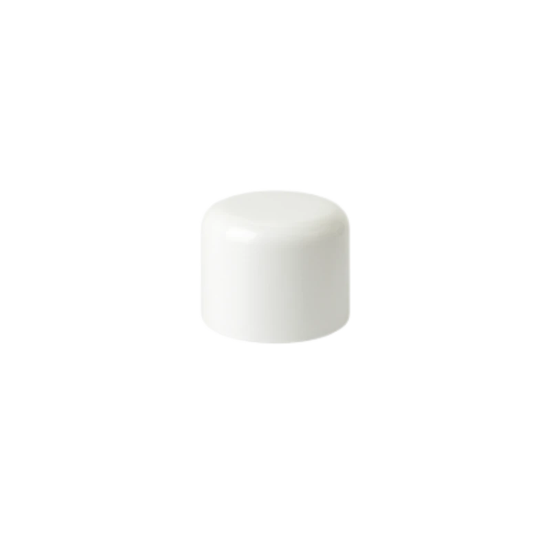 Lid Bottle Cap