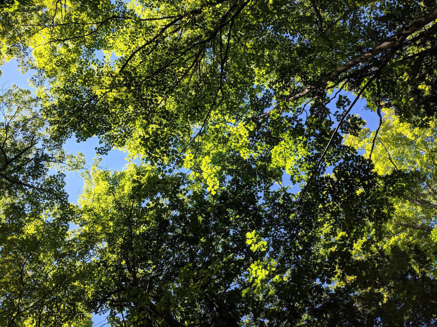 Our Substainability Promise