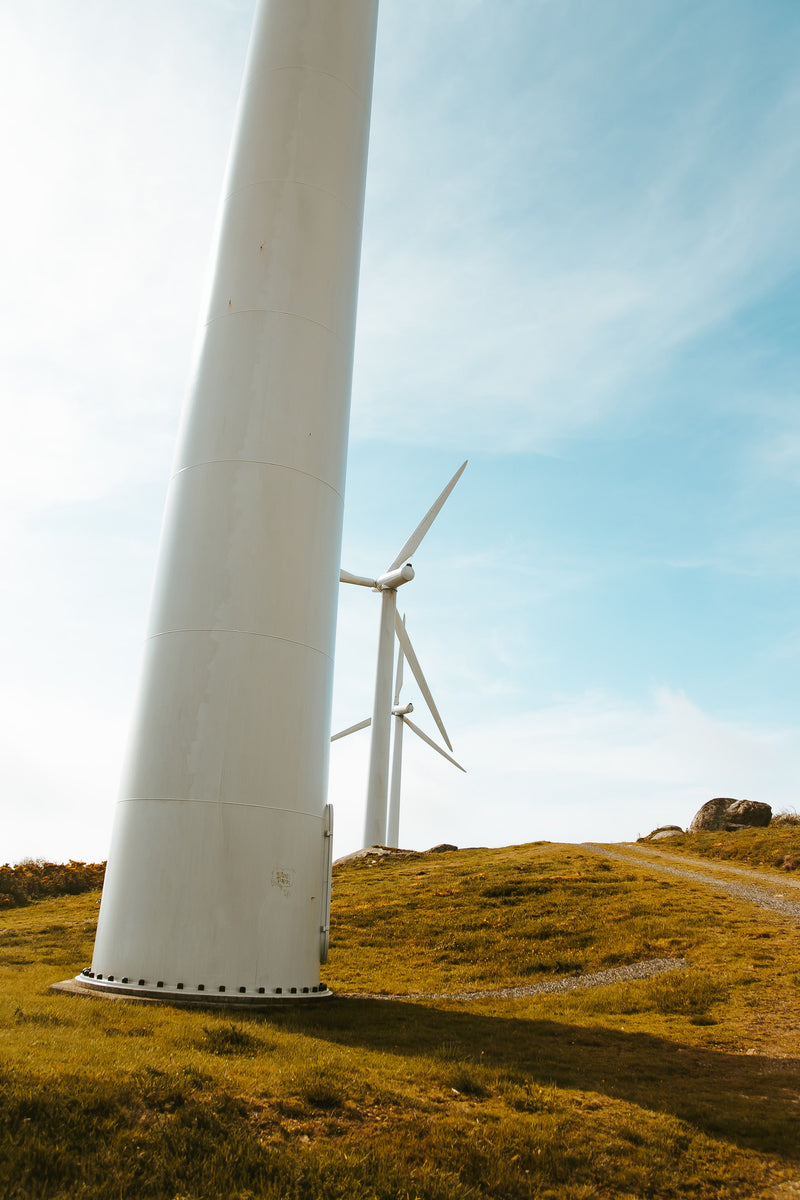 Wind turbines used to create energy