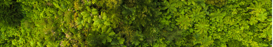 Embrace Sustainability: APT's Guide to Eco Friendly Cleaning Products and Practices